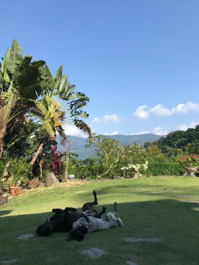 Wisdom Garden Home Stay Yuli Exterior foto